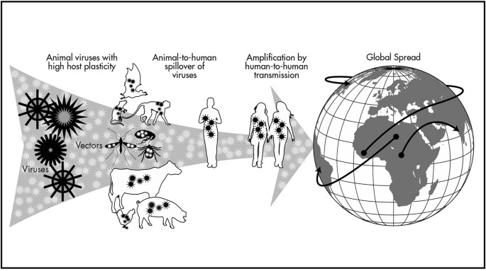 Spillover and pandemic properties of zoonotic viruses with high ...