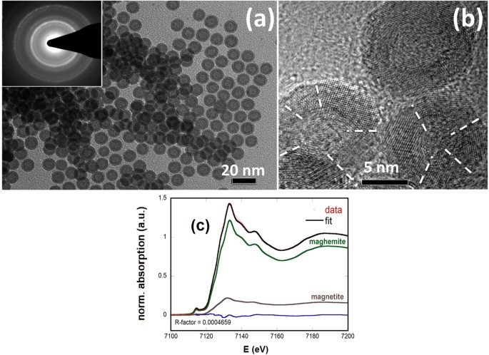 Spin Glass Like Freezing Of Inner And Outer Surface Layers In Hollow G Fe 2 O 3 Nanoparticles Scientific Reports