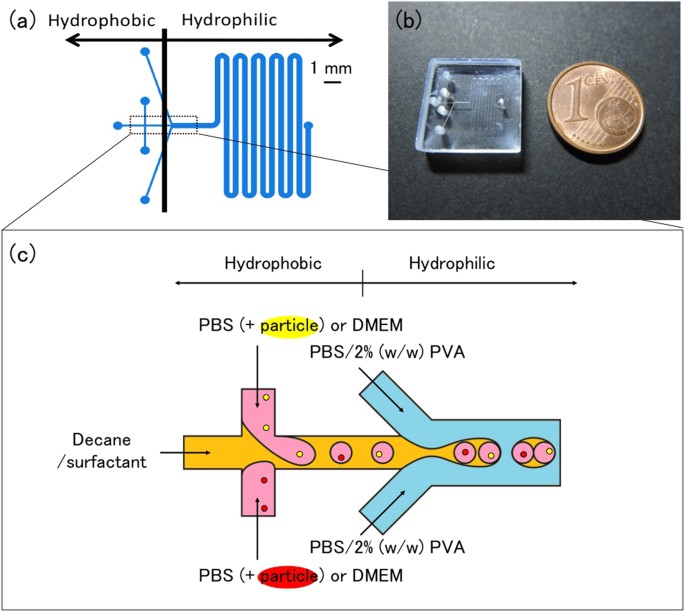 One To One Encapsulation Based On Alternating Droplet Generation Scientific Reports