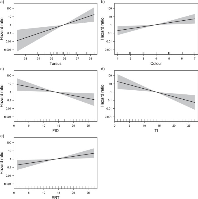 Personality And Morphological Traits Affect Pigeon Survival From Raptor Attacks Scientific Reports