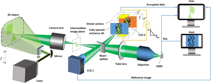 Encrypted three-dimensional dynamic imaging using snapshot time-of-flight compressed ultrafast photography