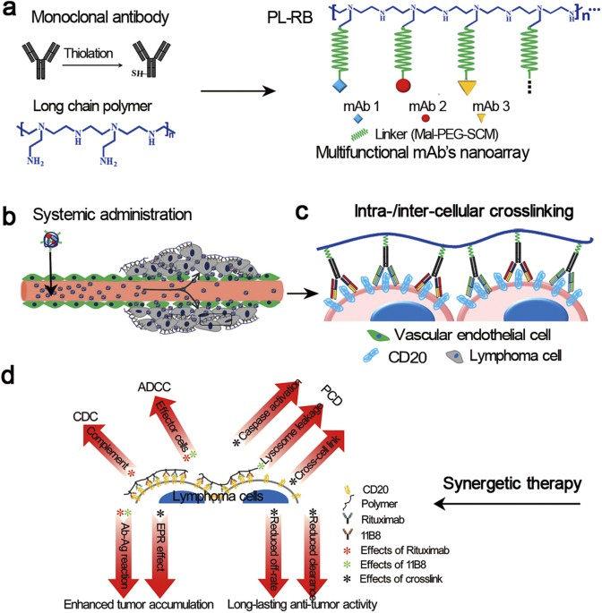 Impact of anti-CD20 monoclonal antibodies on serologic response to