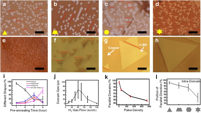 Single Crystalline Film Of Hexagonal Boron Nitride Atomic Monolayer By Controlling Nucleation Seeds And Domains Scientific Reports