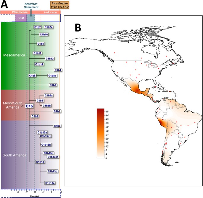 Stable isotope and DNA evidence for ritual sequences in Inca child  sacrifice