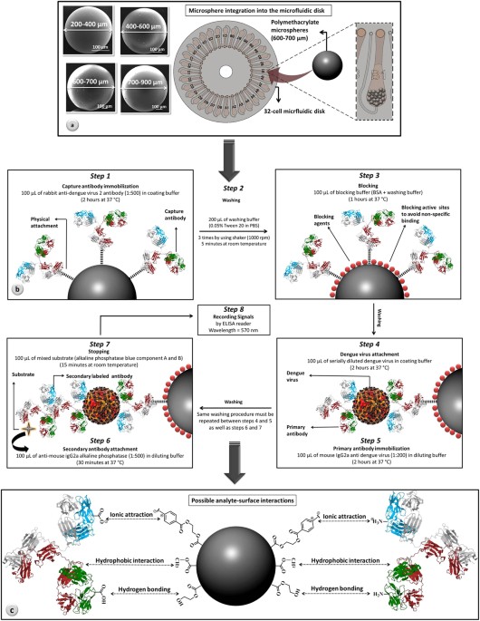 Microsphere Integrated Microfluidic Disk Synergy Of Two Techniques For Rapid And Ultrasensitive Dengue Detection Scientific Reports