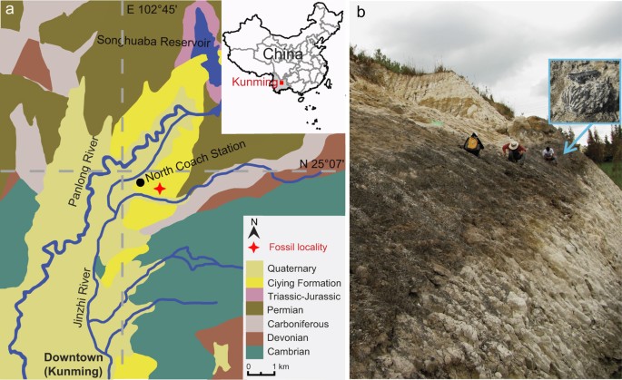 Peaches preceded humans: fossil evidence from sw china