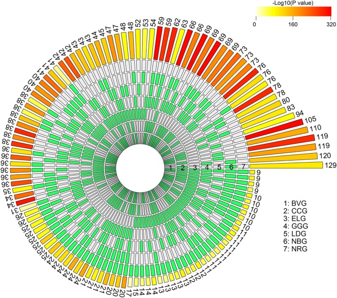 Efficient Test and Visualization of Multi-Set Intersections 