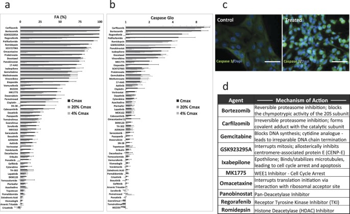 Identification Of Synergistic Clinically Achievable Combination Therapies For Osteosarcoma Scientific Reports