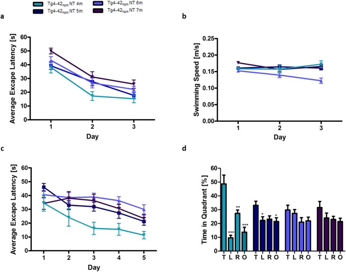 Search strategy analysis of Tg4-42 Alzheimer Mice in the Morris