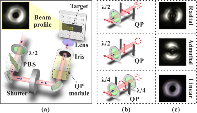 Direct Femtosecond Laser Surface Structuring With Optical Vortex Beams Generated By A Q Plate Scientific Reports
