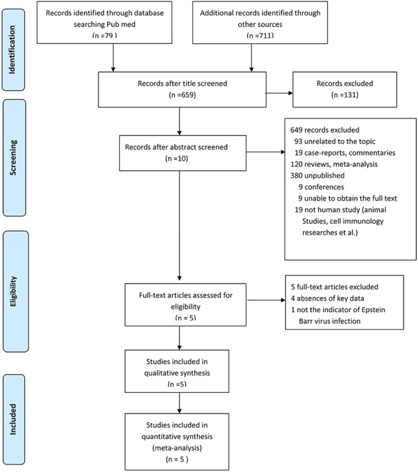 comprehensive meta analysis 序號產生器 comprehensive meta analysis 序號產生器