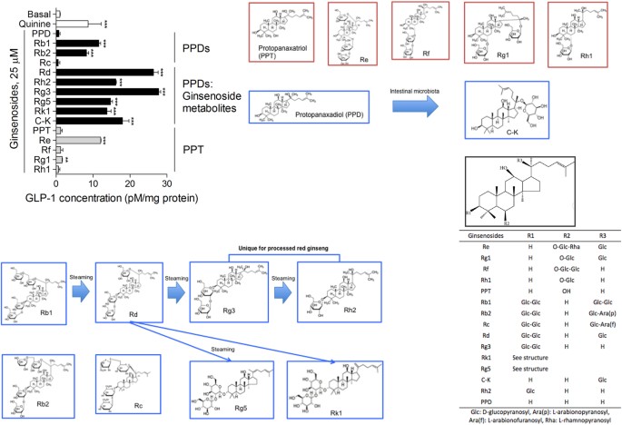 The aglycone of ginsenoside rg3 enables glucagon-like peptide-1 secretion in enteroendocrine cells and alleviates hyperglycemia in type 2 diabetic mice