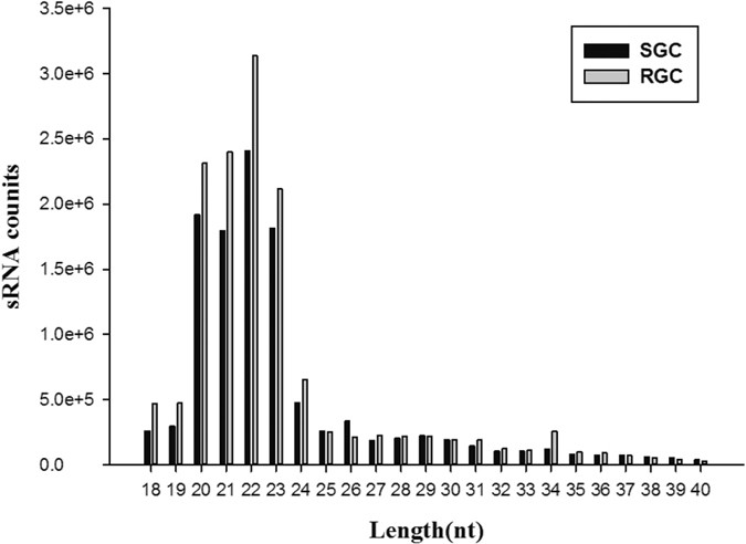 Microrna Induced Negative Regulation Of Tlr 5 In Grass Carp Ctenopharyngodon Idella Scientific Reports Microrna Induced Negative Regulation Of Tlr 5 In Grass Carp Ctenopharyngodon Idella Scientific Reports