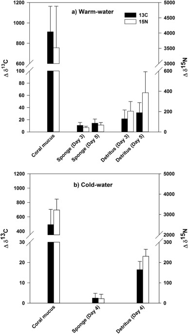 Coral mucus fuels the sponge loop in warm- and cold-water coral 