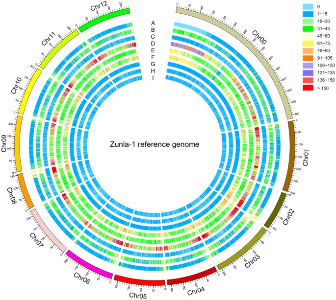 A Comprehensive Characterization Of Simple Sequence Repeats In Pepper Genomes Provides Valuable Resources For Marker Development In Capsicum Scientific Reports