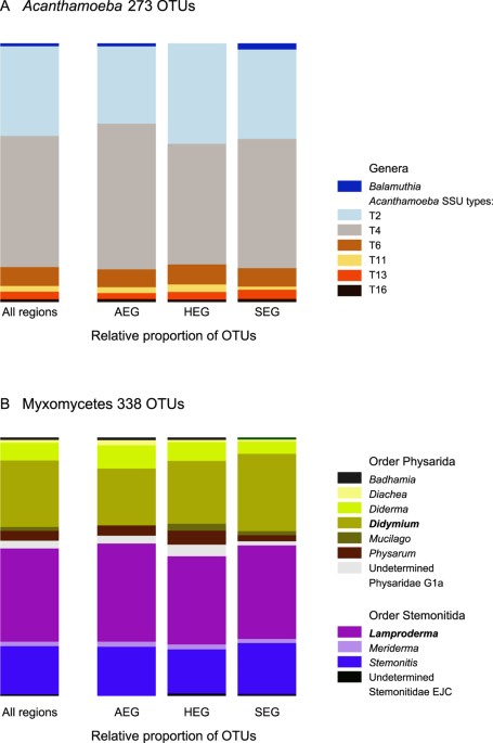 giày new balance 2016