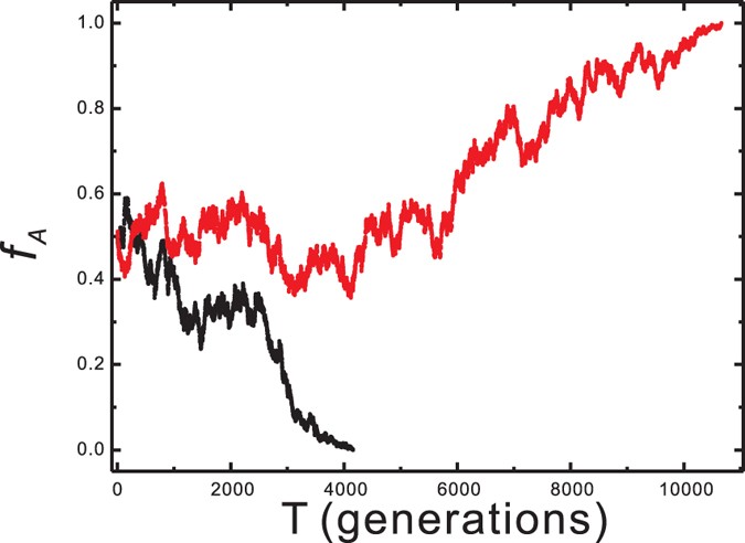 Effect of spatial constraints on Hardy-Weinberg equilibrium ... - Nature.com
