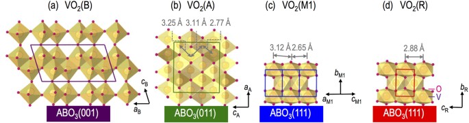 Epitaxial Stabilization And Phase Instability Of Vo2 Polymorphs Scientific Reports