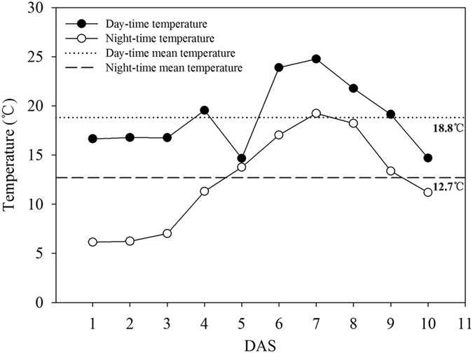 Pre-sowing seed treatments in direct-seeded early rice: consequences for emergence, seedling growth and associated metabolic events under chilling stress