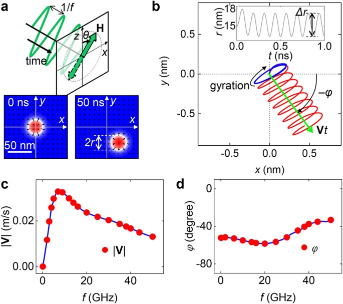 Skyrmion motion driven by oscillating magnetic field | Scientific Reports