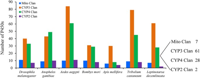 A Specialist Herbivore Pest Adaptation To Xenobiotics Through Up Regulation Of Multiple Cytochrome P450s Scientific Reports