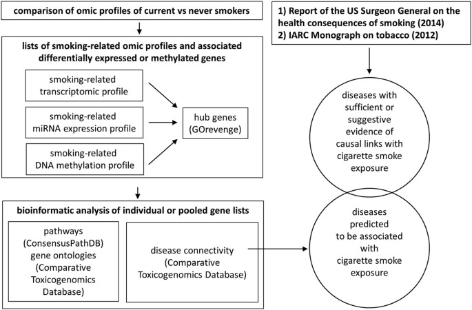 Omics for prediction of environmental health effects: Blood leukocyte-based  cross-omic profiling reliably predicts diseases associated with tobacco  smoking | Scientific Reports
