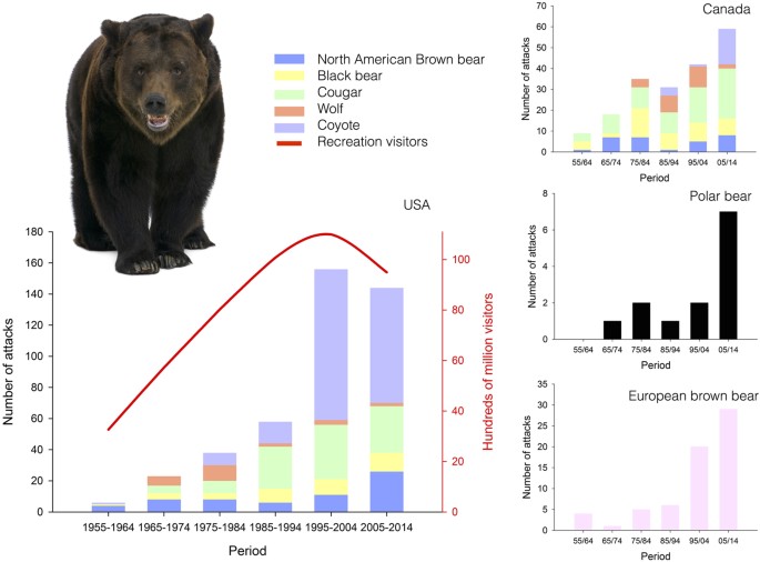 Human behaviour can trigger large carnivore attacks in developed countries  | Scientific Reports