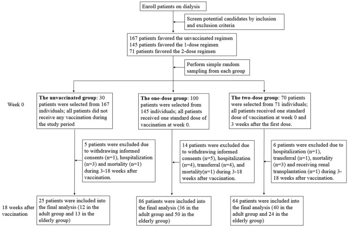 Influenza Vaccine Dosage Chart