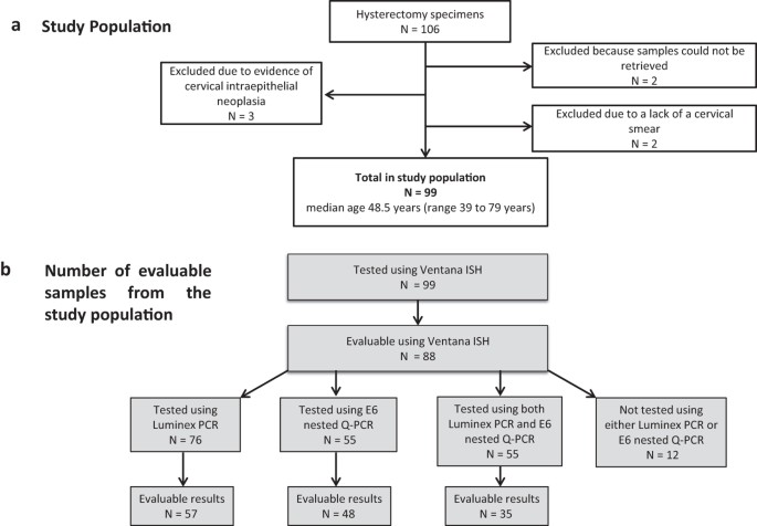 Hpv high risk positive