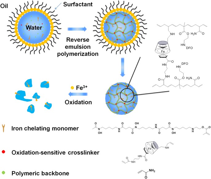 Oxidation Induced Degradable Nanogels For Iron Chelation Scientific Reports