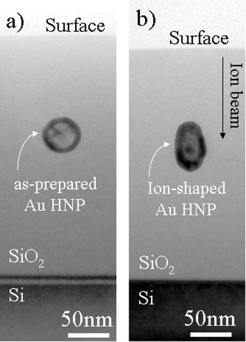 Ion-shaping of embedded gold hollow nanoshells into vertically aligned  prolate morphologies