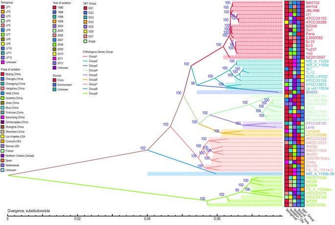 pbp3 gene and legionella pbp3 gene and legionella