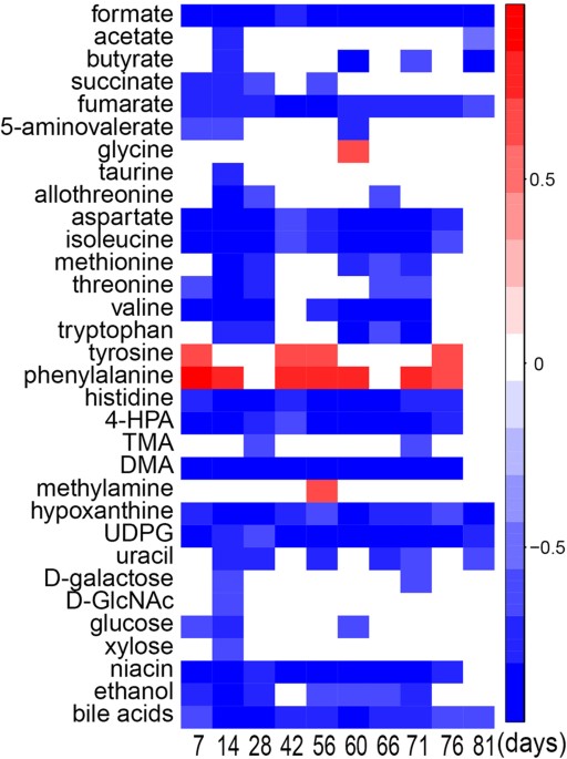 Correlations of Fecal Metabonomic and Microbiomic Changes Induced by High-fat Diet in the Pre-Obesity State | Scientific Reports correlations-of-fecal-metabonomic-and-microbiomic-changes-induced-by-high-fat-diet-in-the-pre-obesity-state-scientific-reports