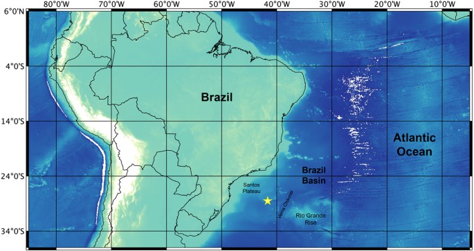 Deep-sea whale fall fauna from the Atlantic resembles that of the Pacific ...