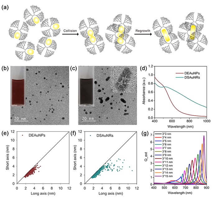 A Facile Strategy To Prepare Dendrimer Stabilized Gold Nanorods With Sub 10 Nm Size For Efficient Photothermal Cancer Therapy Scientific Reports