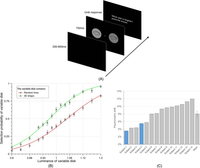 Shape Perception Enhances Perceived Contrast Evidence For Excitatory Predictive Feedback Scientific Reports
