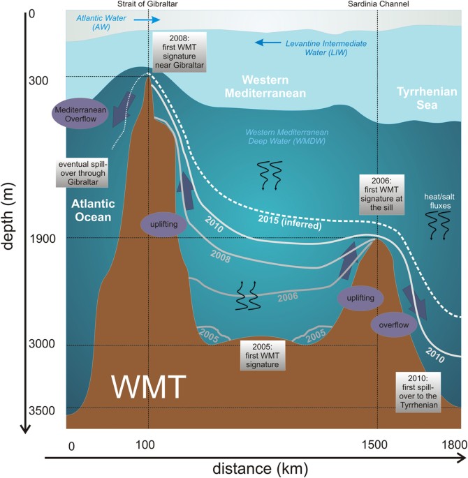 Mediterranean Sea water masses: vertical distribution