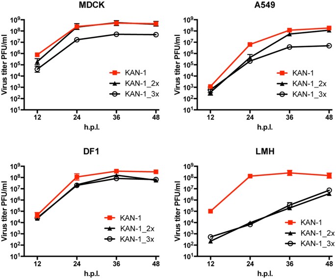 Influenza A Viruses Escape From Mxa Restriction At The Expense Of Efficient Nuclear Vrnp Import Scientific Reports