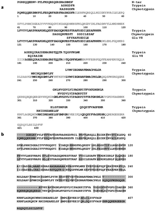 Crystal structure of the vicilin from Solanum melongena reveals existence of different anionic ligands in structurally similar pockets