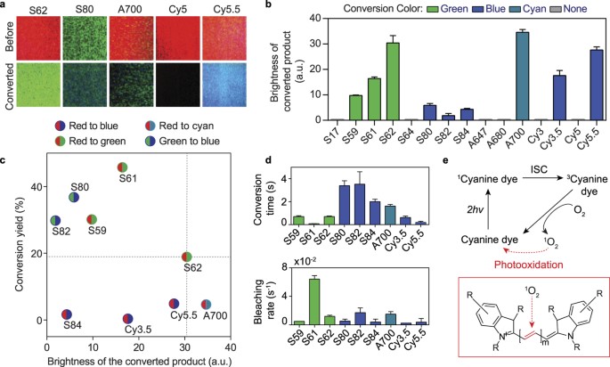 Two Photon Excited Photoconversion Of Cyanine Based Dyes Scientific Reports
