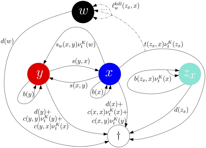 A Stochastic Model For Immunotherapy Of Cancer Scientific Reports