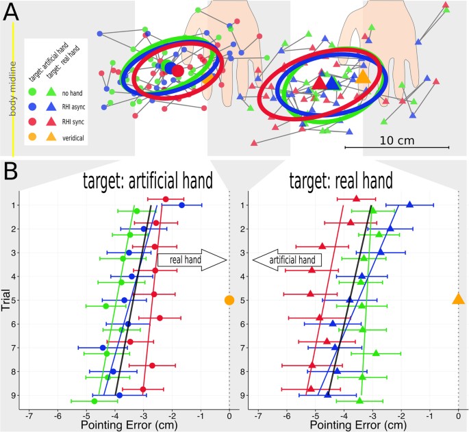 Rubber hand illusion modelled as a body estimation problem solved using