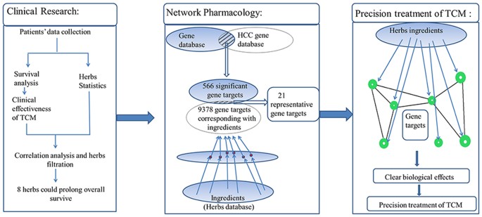 Molecular Targets Of Chinese Herbs A Clinical Study Of Hepatoma Based On Network Pharmacology Scientific Reports