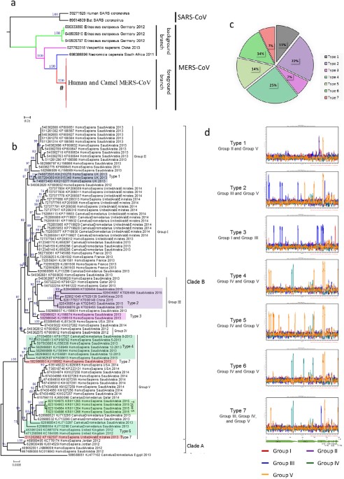 Evolutionary Dynamics Of Mers Cov Potential Recombination Positive Selection And Transmission Scientific Reports