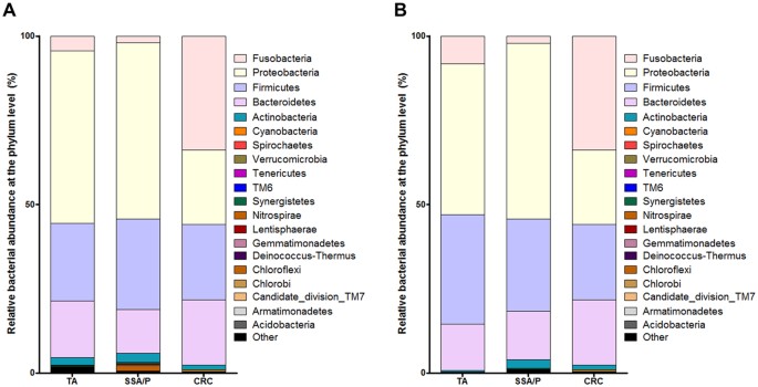 Role of fusobacteria in the serrated pathway of colorectal carcinogenesis
