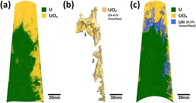 Atomic Scale Studies Of Uranium Oxidation And Corrosion By Water Vapour Scientific Reports