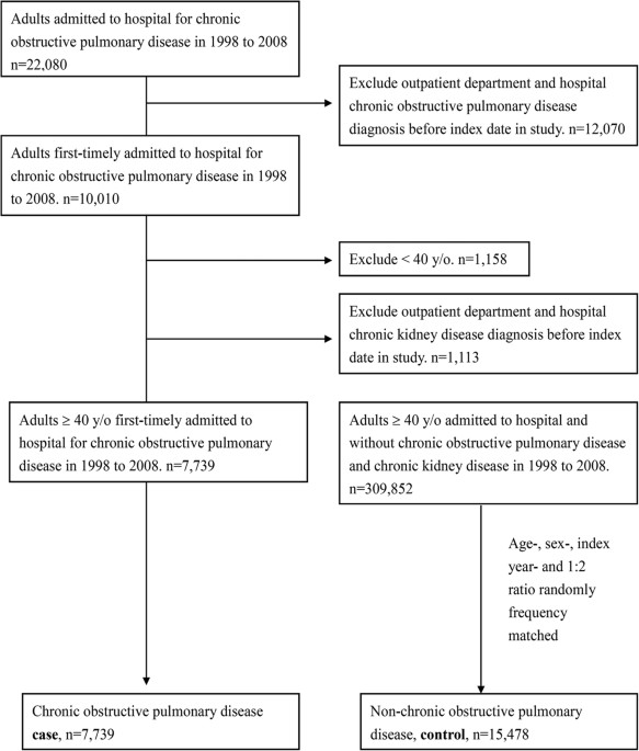 Pathogenesis Of Copd Flow Chart