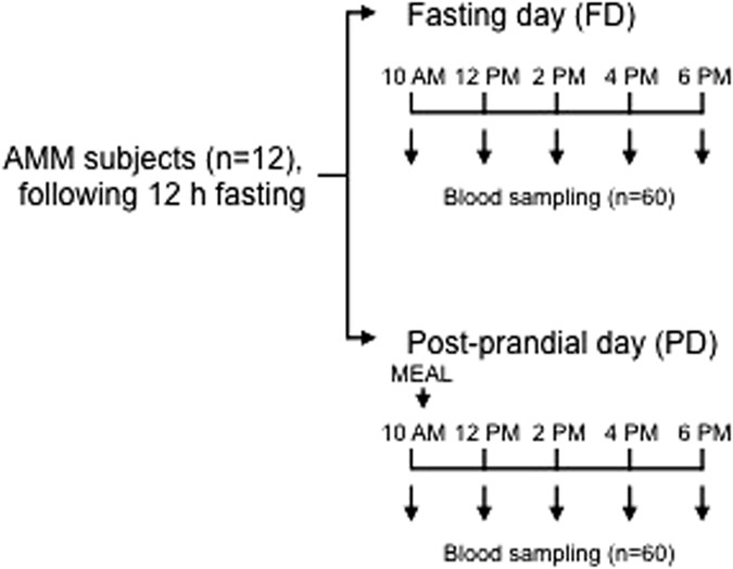 dna methylation