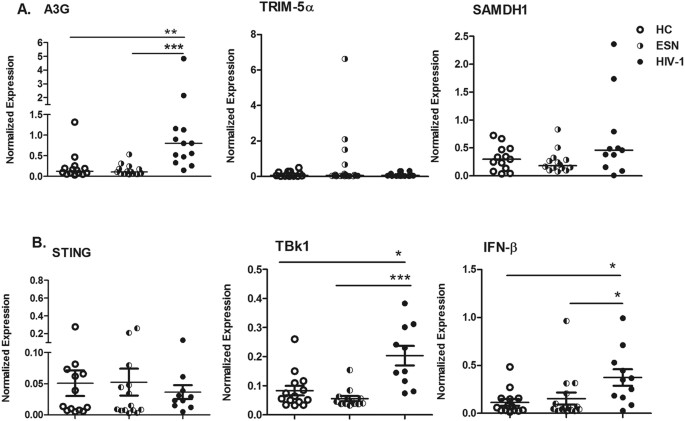 Polyamine metabolism impacts T cell dysfunction in the oral mucosa of  people living with HIV