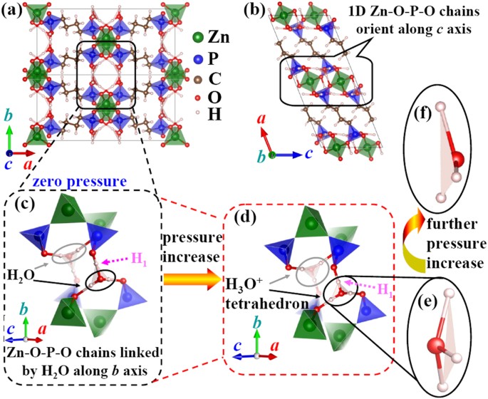 H3O+ tetrahedron induction in large negative linear compressibility